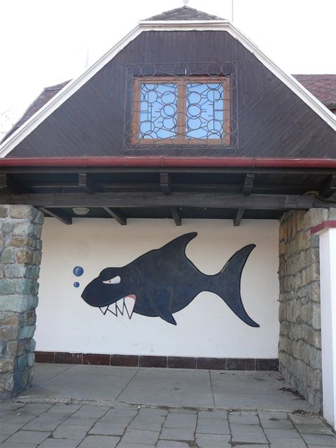 p1000533