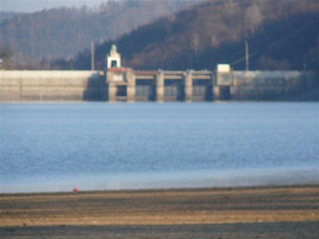 p1000534