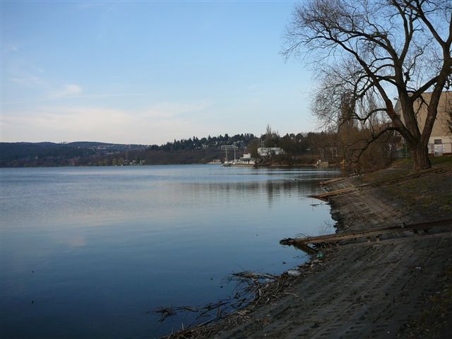 p1000560