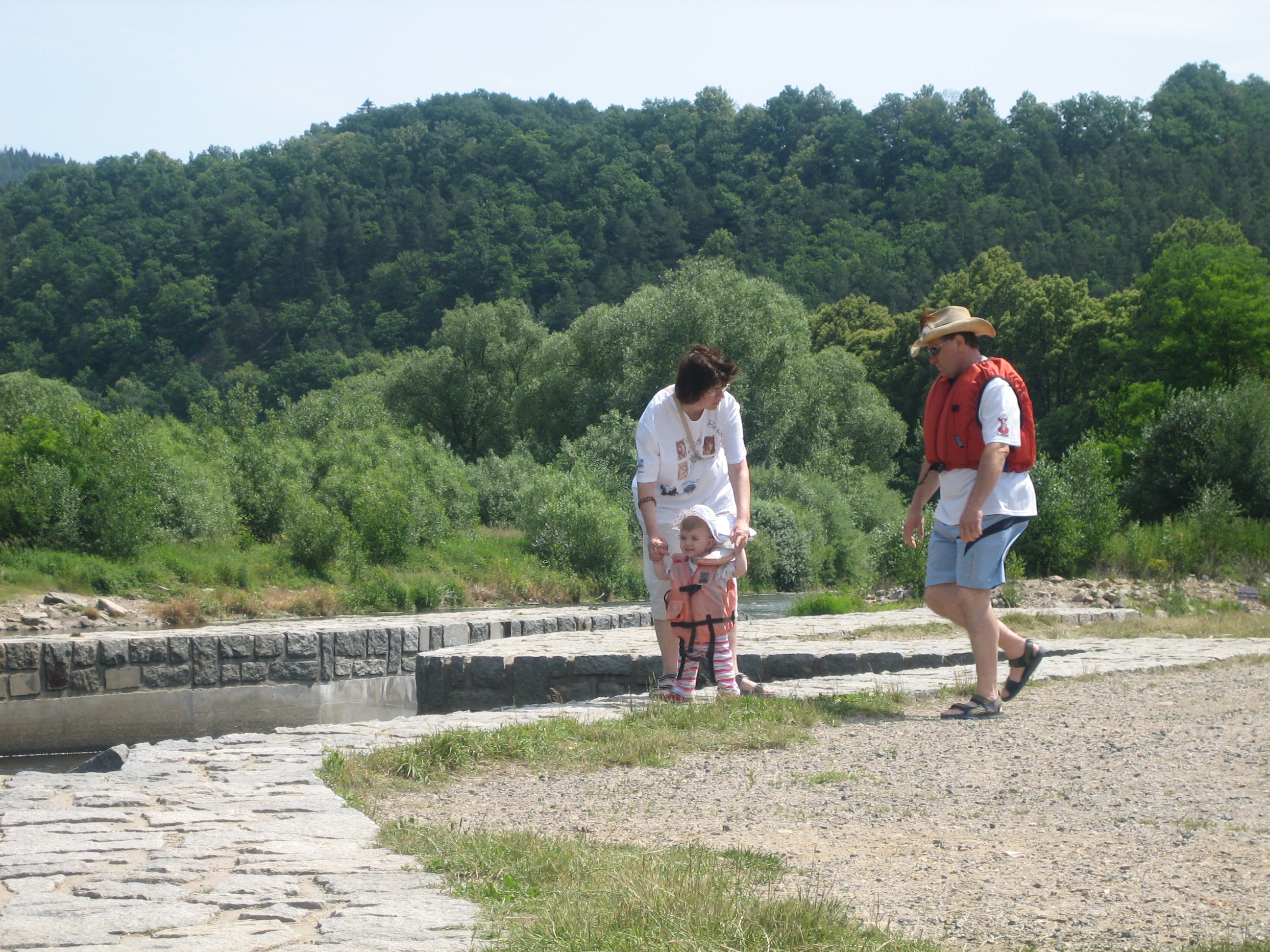 srnin-2008-052